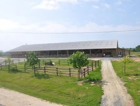 Thomas Ranch *